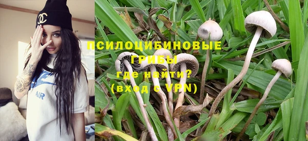 стафф Баксан