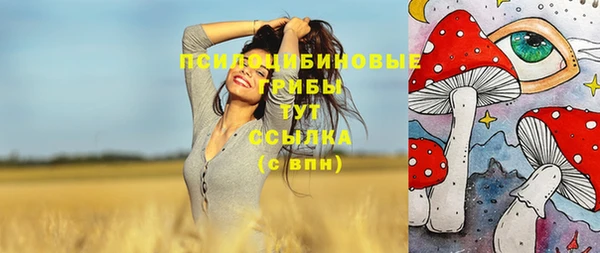стафф Баксан