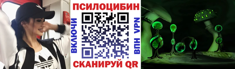 где купить наркоту  Сланцы  Псилоцибиновые грибы Psilocybine cubensis 